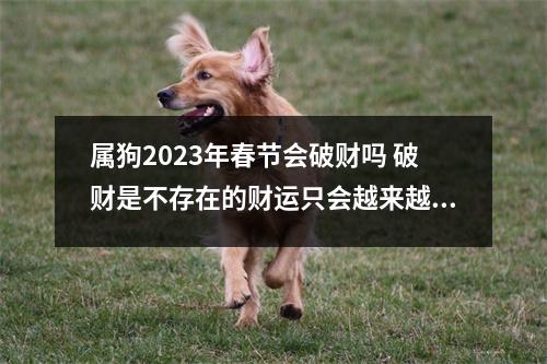 属狗2023年春节会破财吗破财是不存在的财运只会越来越好